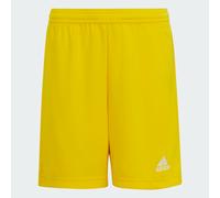 Adidas Boys Girls Ent 22 Shorts Junior Kids Aeroready Sports Football Age 5-16