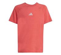 adidas Boy's GOTO PZ T-Shirt, Dusky Petrol/Dusky Ink/Reflective Silver, 7-8 Years