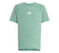 adidas Boy's GOTO PZ T-Shirt, Pure Teal/Lime Burst/Reflective Silver, 7-8 Years