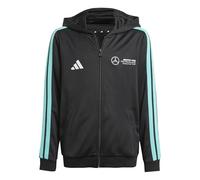 MERCEDES - AMG PETRONAS FORMULA ONE TEAM DNA FULL ZIP HOOD