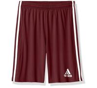 adidas boys Squad 21 Shorts Team Maroon/White Large