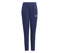adidas Boy's Tiro21 Sweatpants, Team Navy Blue, 16 Years UK