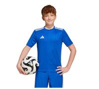 Adidas Campeon 25 Short Sleeve T-shirt