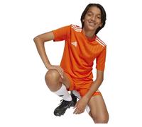 Adidas Campeon 25 Short Sleeve T-shirt