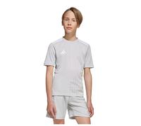 Adidas Campeon 25 Short Sleeve T-shirt Grey 15-16 Years Kids