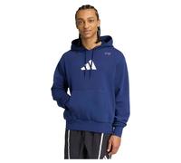 Adidas Category Training Graphic Hoodie
