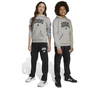 Adidas Children's Seasonal Essentials Collegiate Typography Pants