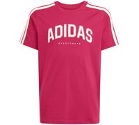 adidas Codes Collegiate Graphic Tee for kids pink KA9764