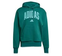 adidas Collegiate Hoodie