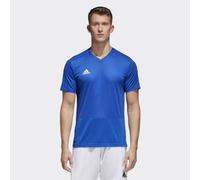 Adidas Condivo 18 TR M CG0352 football jersey