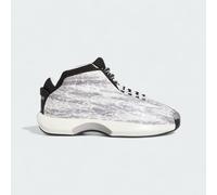 Adidas Crazy 1 Men's Snake Skin Basketball Trainers Grey Silver GY2405