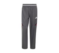 Adidas Dbb Germany Warm Up Pant Grey