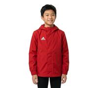 Adidas Ent22 Aw Jacket