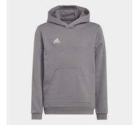 adidas Unisex Kids Entrada 22 Sweat Hoodie, Team Grey Four, 11-12 Years