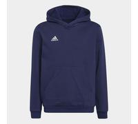 adidas Junior Entrada 22 Pullover Hoodie