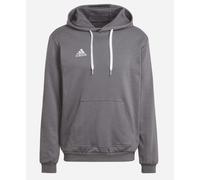 Adidas Entrada 22 Hooded Sweat in Team Grey 4