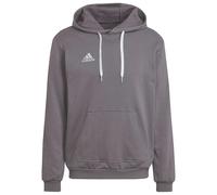 Adidas Entrada 22 Hoodie Grey S / Regular Men