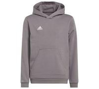 Adidas Entrada 22 Hoodie