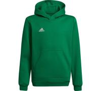Adidas Entrada 22 Hoodie Green 9-10 Years Kids