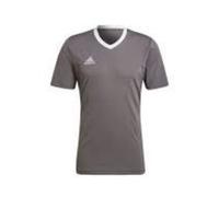 adidas Entrada 22 Jersey Asia Sizing Asia Sizing 'Grey' HE1574 XXL