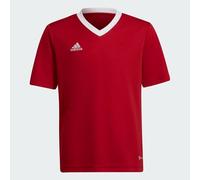 adidas Entrada 22 Kids Football T-Shirt Jersey Youth Red Teamwear Tee