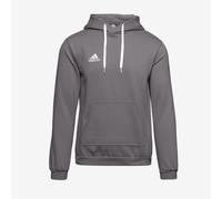 adidas Entrada 22 Pullover Sweat Hoodie