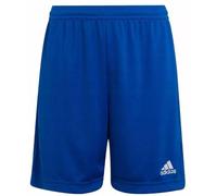 adidas Men's Entrada 22 Shorts, Royal Blue, XXL
