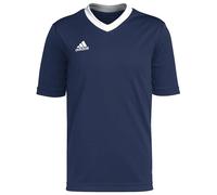 Adidas Entrada 22 Short Sleeve T-shirt