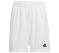 Adidas Entrada 22 Shorts