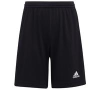 Adidas Entrada 22 Shorts