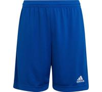 Adidas Entrada 22 Shorts