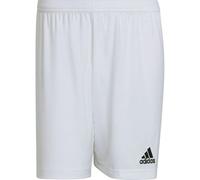Adidas Entrada 22 Shorts