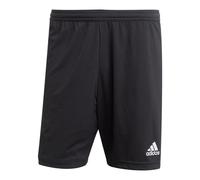 Adidas Entrada 22 Shorts - Black