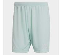adidas Entrada 22 Shorts Mens S Mint