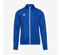 adidas Men's Entrada 22 Track Jacket, Royal Blue, XS