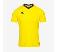 adidas Men's Entrada 22 Jersey, Team Yellow / Black, L