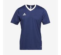 adidas Entrada 22 SS Shirt