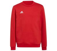 Adidas Entrada 22 Stadium Sw Sweatshirt
