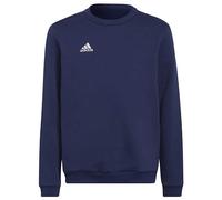 adidas Junior Entrada 22 Sweatshirt