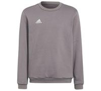Adidas Entrada 22 Stadium Sw Sweatshirt Grey 5-6 Years Kids