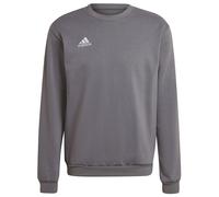 Adidas Entrada 22 Stadium Sw Sweatshirt Pink XL / Regular Men