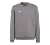 Adidas Entrada 22 Sweat Top Jr H57477 sweatshirt
