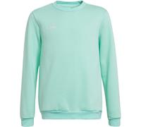 Adidas Entrada 22 Sweat Top Jr HC5042 sweatshirt