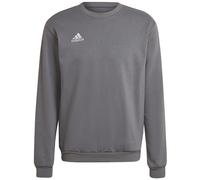 adidas Unisex Kids Entrada 22 Sweat Top, Team Grey Four, 11-12 Years