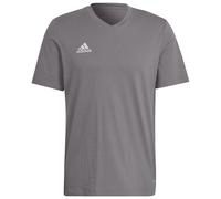 Adidas Entrada 22 T-Shirt in Team Grey