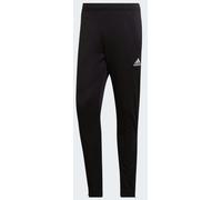 Adidas Entrada 22 Training Pant in Black