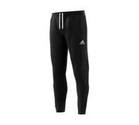 Adidas Entrada 22 Slim Fit Pants