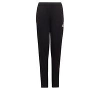 Adidas Entrada 22 Training Pants