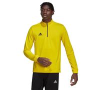 Adidas Entrada 22 Training Sweatshirt Yellow M / Regular Men