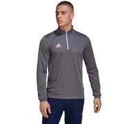 Adidas Entrada 22 Training Sweatshirt Grey L / Regular Men